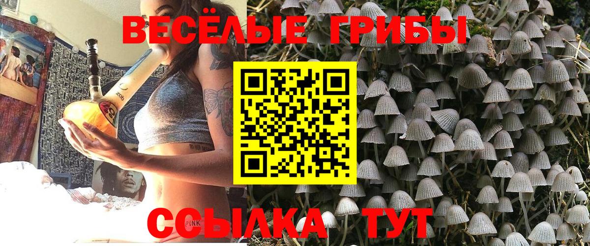 Псилоцибиновые грибы Psilocybine cubensis  как найти   Комсомольск-на-Амуре  Вход с VPN  Псилоцибиновые грибы Magic Shrooms 